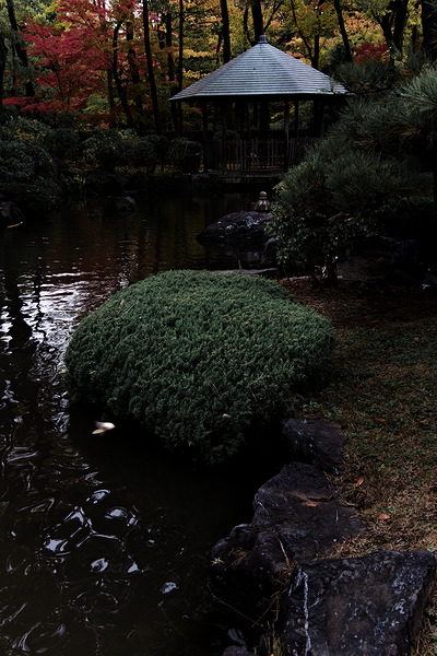 所沢航空記念公園 紅葉 日本庭園