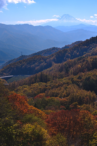柳沢峠ツインループ 富士山 紅葉