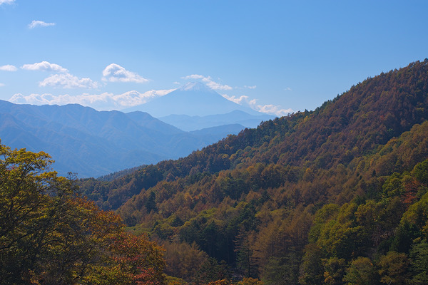 柳沢峠ツインループ 富士山の見える展望台 紅葉