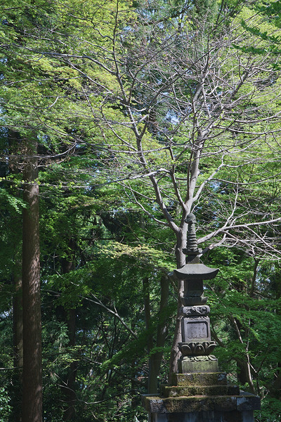 慈光寺 風景 灯籠
