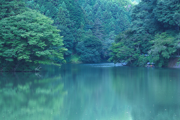 鎌北湖 風景