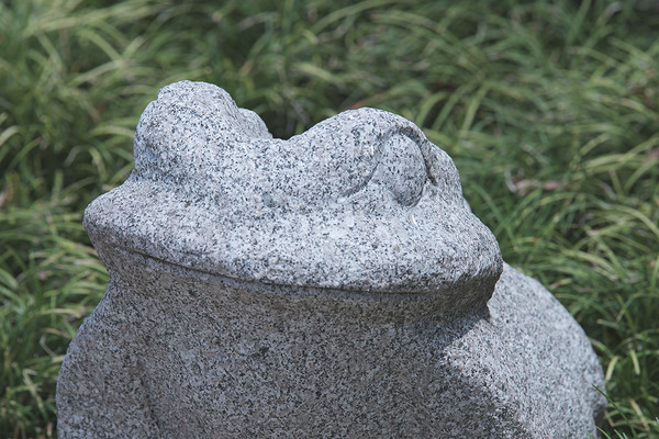 水宮神社 蛙