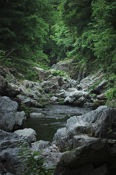 中山の滝 秋川渓谷