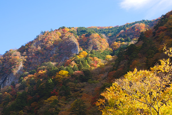 小川谷橋 紅葉