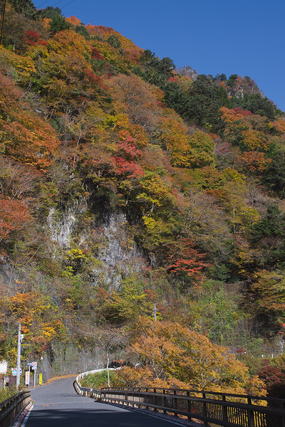 小川谷橋 紅葉