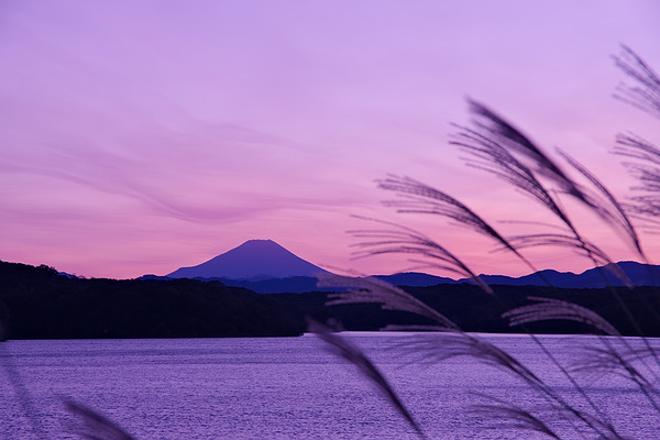 狭山湖 富士山