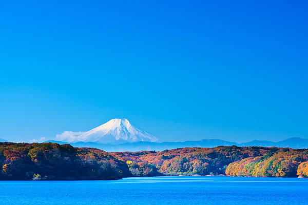 狭山湖 紅葉 富士山