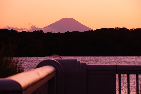 狭山公園 富士山