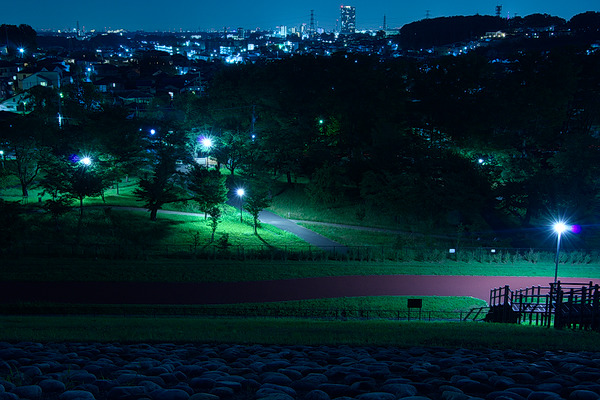 狭山公園 夜景