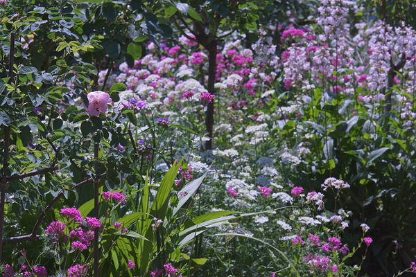 瀬田農業公園（フラワーランド） 花壇