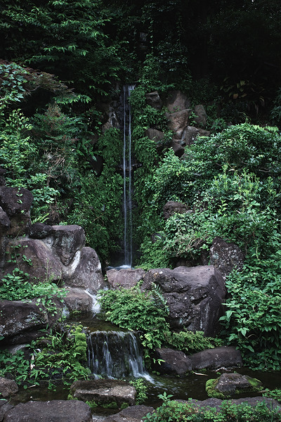 東福寺 滝